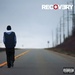 Eminem feat. Rihanna - Love the way you lie