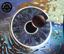 Cover von Pink Floyd - Learning to fly