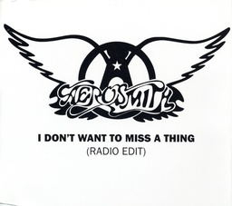 Cover von Aerosmith - I don't want to miss a thing (aus Armageddon – Das jüngste Gericht)