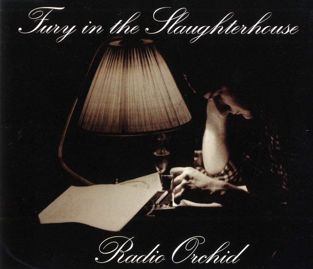 Cover: Radio orchid – Fury In The Slaughterhouse
