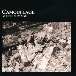 Cover von Camouflage - The great commandment