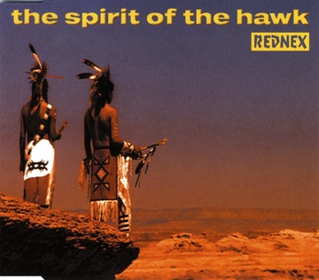 The spirit of the hawk