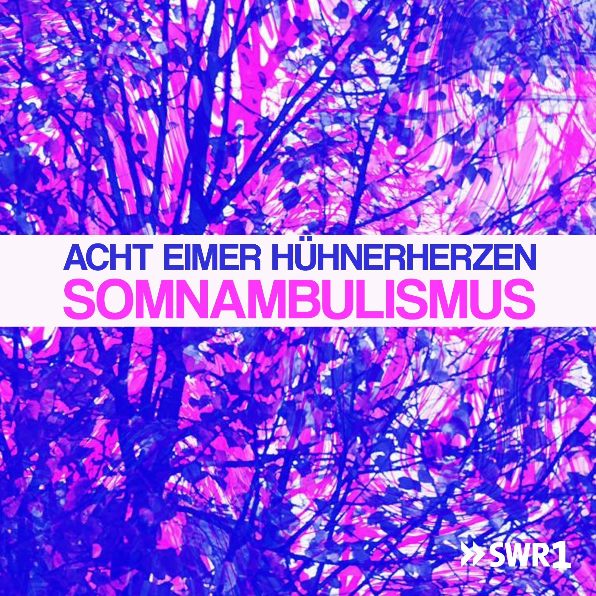 Cover: Somnambulismus – Acht Eimer Hühnerherzen