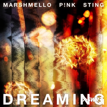 Dreaming (Foto: Marshmello)