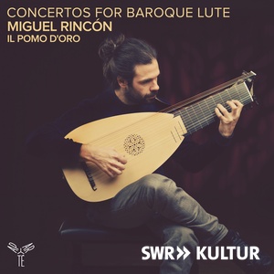 1. Satz: Allegro aus: Konzert für Laute, Streicher und Basso continuo d-Moll, FWV L:d1