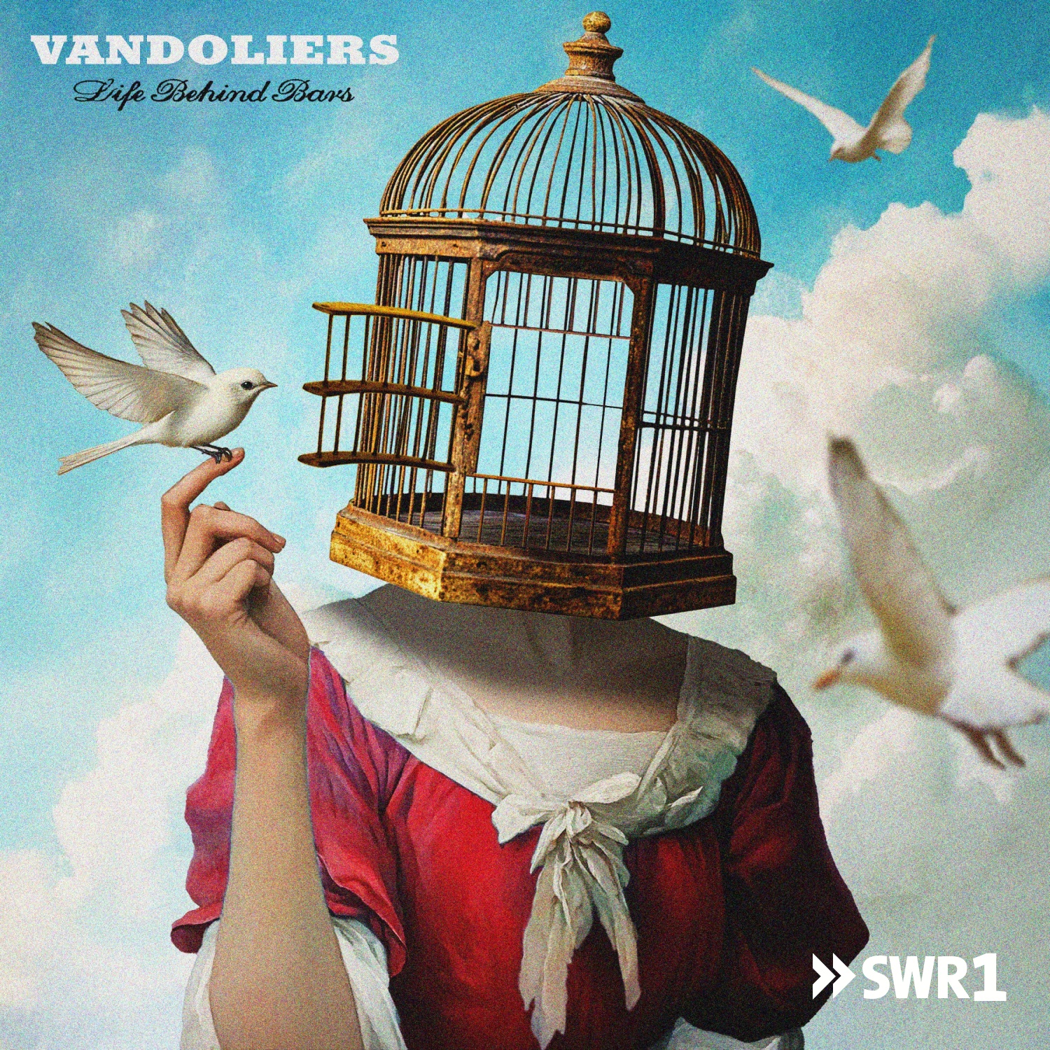 Cover: Your picture – Vandoliers