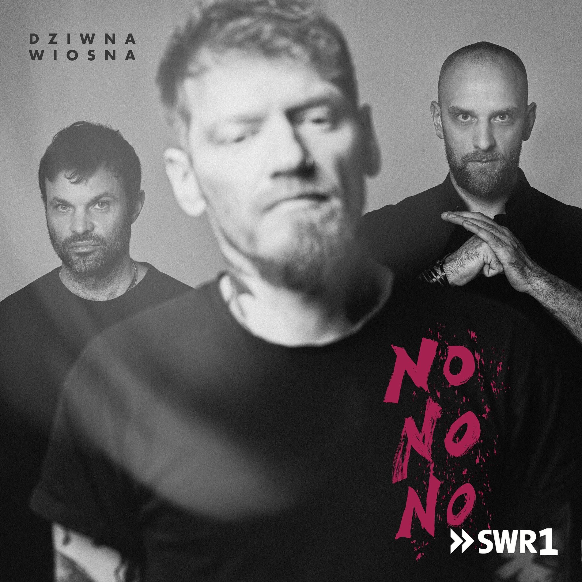 Cover: No No No – Dziwna Wiosna