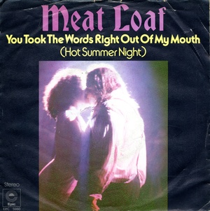 You took the words right out of my mouth  (Hot summer night)