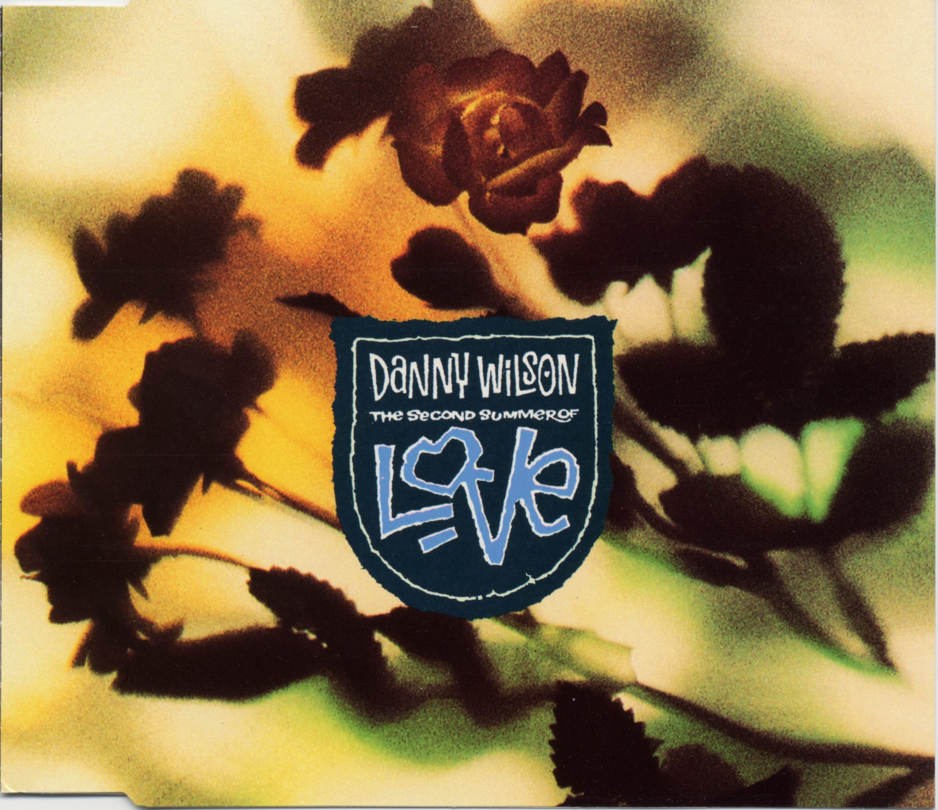 Cover: The second summer of love – Danny Wilson